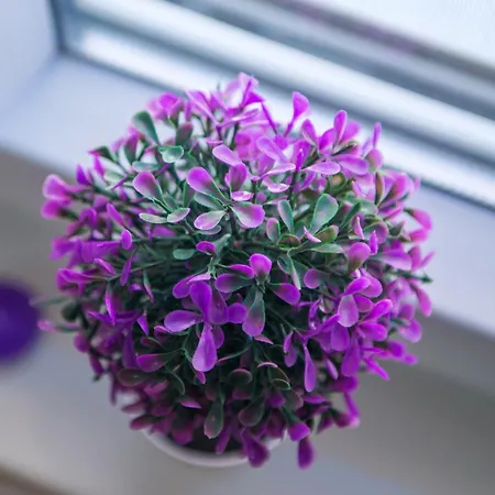 Novax - Free Parking * موستار